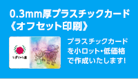 0.3mm厚プラスチックカード《オフセット印刷》